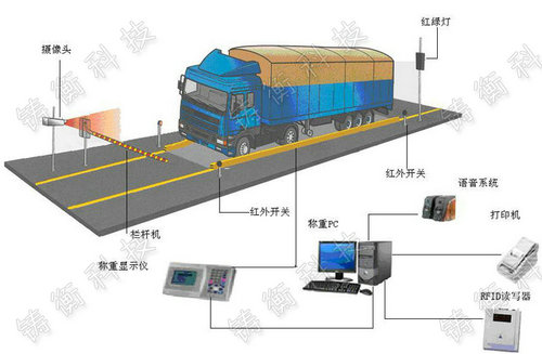 20���o��ֵ�������܇��